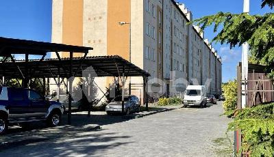 Фото: 29901e4b-741a-4e58-89dd-e74335f80858.jpg