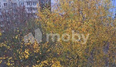 г Калининград, ул Мариупольская 11, 2a751ad6-0736-4658-b3b6-bcbeea1173ca.jpg