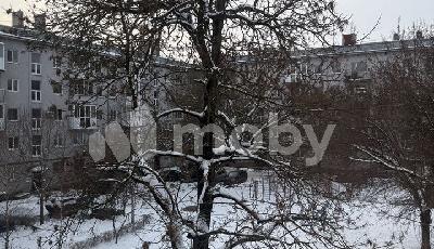 Калининград, Калинина проспект 27, 2bdf8597-d343-44cc-8931-bcfac3b58b15.jpeg