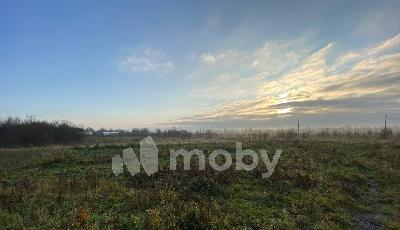 поселок Голубево,  , 2d2e4216-68b4-43da-ae16-c0b9ce3a3b95.jpg