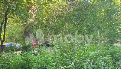 Фото: 2e5a0ded-44fb-484d-ae7e-f78a5e7499a1.jpg