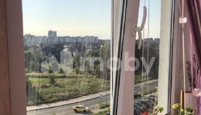 Фото: 2f1f5960-aec4-4113-a951-1f32af22fbb3.jpg
