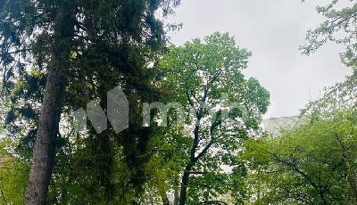 г Калининград, ул Малоярославская 5, 2ffa63d6-644a-4fbe-91b4-a6cb6ecf3d0b.jpeg