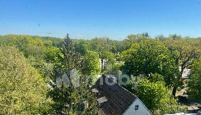 Фото: 315a6730-9160-442c-ae96-c3b5ea027851.jpg