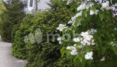 г Калининград, ул Брусничная 5, 315db381-e66d-4a78-8201-c4f66af62200.jpg