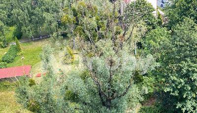 Фото: 31ef83be-3741-4eec-9c5d-f092cf09b851.jpg