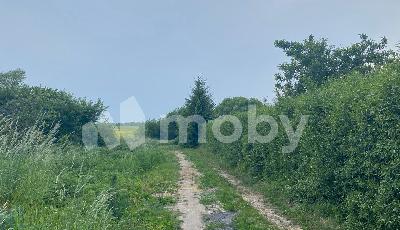 поселок Константиновка, ул Центральная , 32ff854e-81c5-4110-b618-2fe42480ef7a.jpg