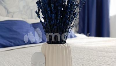 г Калининград, ул В.Денисова 16, 33728a66-33e7-44b7-b8e5-70c1909c9be6.jpg