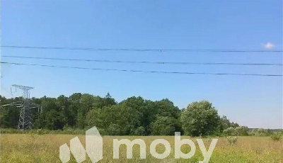 поселок Холмогоровка, ул Коралловая , 33e8e27b-b736-4fbc-be7a-5f8182be5eb3.png