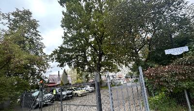 г Калининград, ул Тенистая аллея 33, 347e8a2c-17e3-4273-bb78-bf7c30c5da82.jpeg