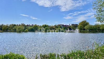 Фото: 34fa485e-83bc-4d64-9500-0f0e789ff820.jpeg