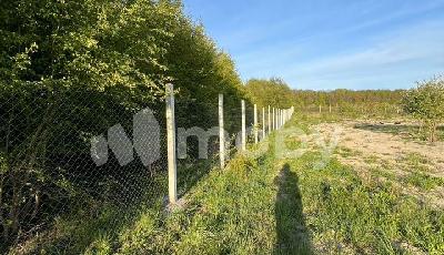 поселок Нивенское, ул Яблочная , 367274b2-774f-4925-810c-f5f00a4a7c3f.jpg