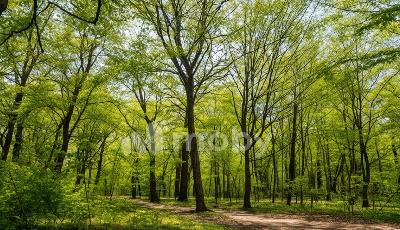 г Калининград, ул Михаила Булгакова 22А, 36c2144b-a810-4bd5-9d67-b605eff0eee6.jpg