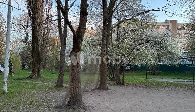 г Калининград, ул Красная 143, 375dc132-fe56-4f03-9529-28ae3b498103.jpg