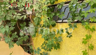 Шоссейное посёлок, ул Южная Мостовая 18, 375e532c-dd38-4381-9337-4f99f90e755d.jpg