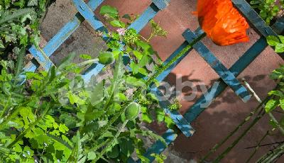 Фото: 3b72145f-2dd3-4575-b73e-0b9cc64ed98e.jpg