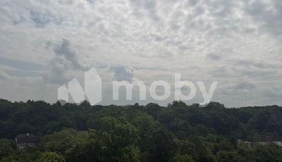 г Калининград, ул Аллея смелых 204, 3bc63d31-ccb3-4bcf-a766-8474522f0592.jpeg