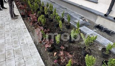 Фото: 3e594e26-c5dd-4c58-b631-e9469d7931af.jpg