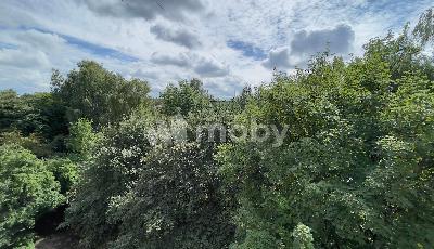 г Калининград, ул Багратиона 9, 3f07439a-c2e6-4069-a374-62ae22d646b6.DNG