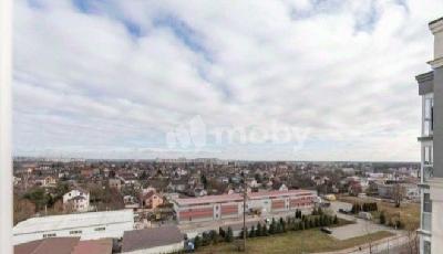 Фото: 412c23ef-bc47-47cf-bb4e-d6773664f4db.jpg