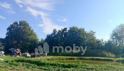 Раздольное посёлок,  1, 4174f8cc-113c-4edb-9acd-821c532b0f22.jpg