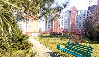 Фото: 4186e7f5-4a7e-49b6-bc1b-890f964dd358.jpg