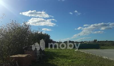 тер. СНТ Ветерок-2 (поселок Шоссейное), ул Цветочная 243, 42dc6c7e-839c-480a-a918-32daed831069.jpg