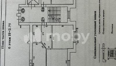 Фото: 435fae7b-25a4-4f9c-8a95-91e7aaffc686.jpg