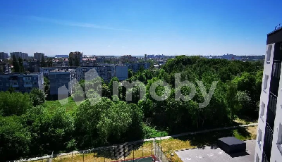 поселок Васильково, ул Весенняя 3, 43899eba-d07b-40de-86b7-5b73ca6299fb.png