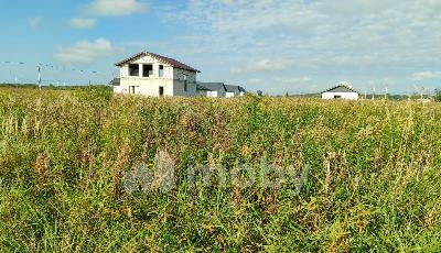 поселок Холмогоровка, ул Коралловая , 450393af-e2dc-4e62-836f-4f6440c1c8af.jpeg