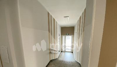 Фото: 451f90e2-1baf-4443-9384-67e53b3c9dcb.jpg