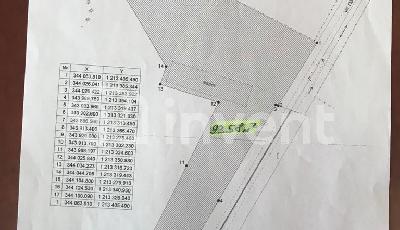 TT36911