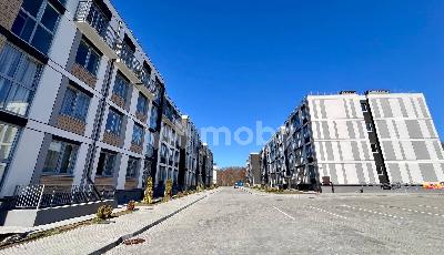 Фото: 48277eea-0a09-470a-9f42-40eebef43315.jpg