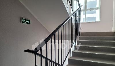 Фото: 48fdeef1-170e-488a-8a56-3af5bb5ec07e.jpg