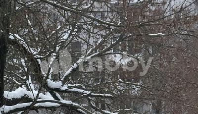 Калининград, Калинина проспект 27, 497332f0-a08d-4cc7-92b0-3382fe9eac2b.jpeg