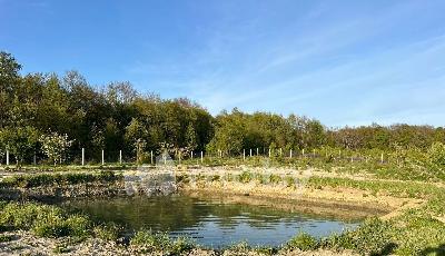 поселок Нивенское, ул Яблочная , 4a05e767-4543-4f95-a3f9-f1b4dacc22ce.jpg