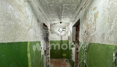 Фото: 4a1b3b2f-1eef-4804-a760-22f253b7a596.jpg