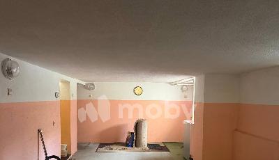 тер с/т Вишенка (поселок Ласкино), ул Согласия 52а, 4b016769-bed0-40c2-be4d-1cdeed04f504.jpg