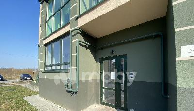 Фото: 4b2bb924-dbda-4476-bba4-973ca045b2a8.jpg