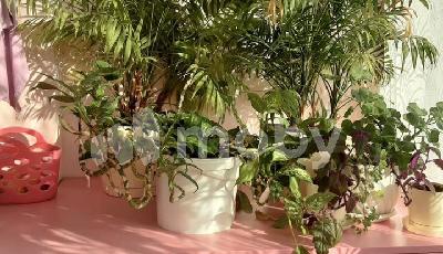 Калининград, ул Товарная 14, 4b7fdea6-9407-4c24-a593-318d9cd33ff3.jpeg