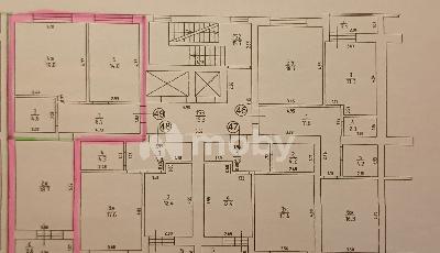 Фото: 4c9b77e5-11c0-4fbf-a01f-753ef822a9b6.jpg
