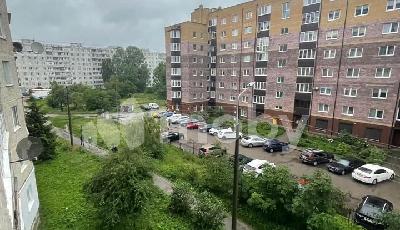 Фото: 4f204c03-290e-4daf-898a-de53c3959092.jpg
