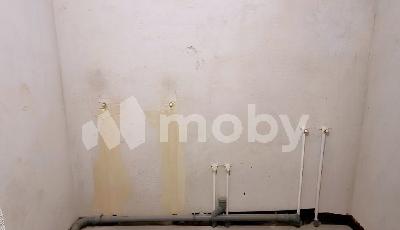 Калининград, ул Сержанта Мишина 81, 5027f11d-71bc-4583-a579-a4862efe533c.JPG