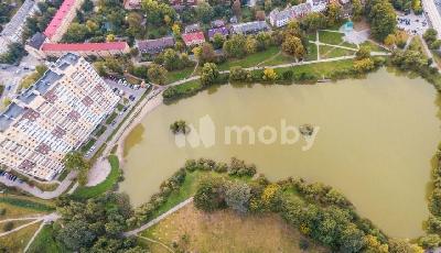 Фото: 5132a538-d320-40a6-b70a-5f391874bc7d.jpg