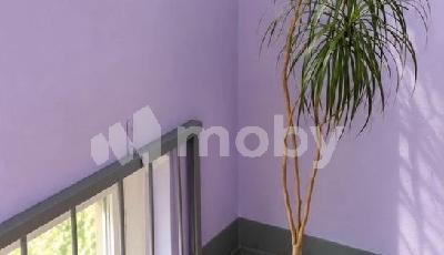 г Калининград, ул Дзержинского 42, 5461e4b1-359e-4cbe-95fa-82a04fe29976.jpg