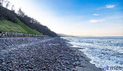 Пионерский, ул Прибрежная д. 23 корп 2, 54eee1ff12efe7e1cda3036ef456a5a5