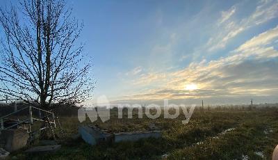 поселок Голубево,  , 55629dc6-71a9-42cf-b007-c8dfeedbd704.jpg