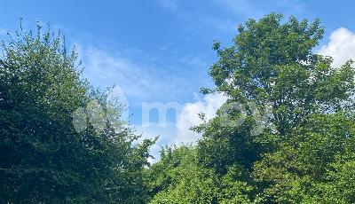 Фото: 55c4ccb1-86a5-4810-b520-f5ecbcfccb3e.jpg