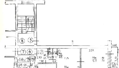 г Калининград, ул Садовая 21, 55f71a8d-4c52-4971-bc86-04a8e759472e.jpg