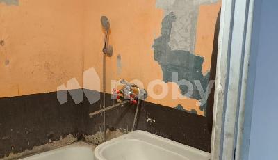 Фото: 564f1f59-af86-48d2-824a-c24a540ba65f.jpg
